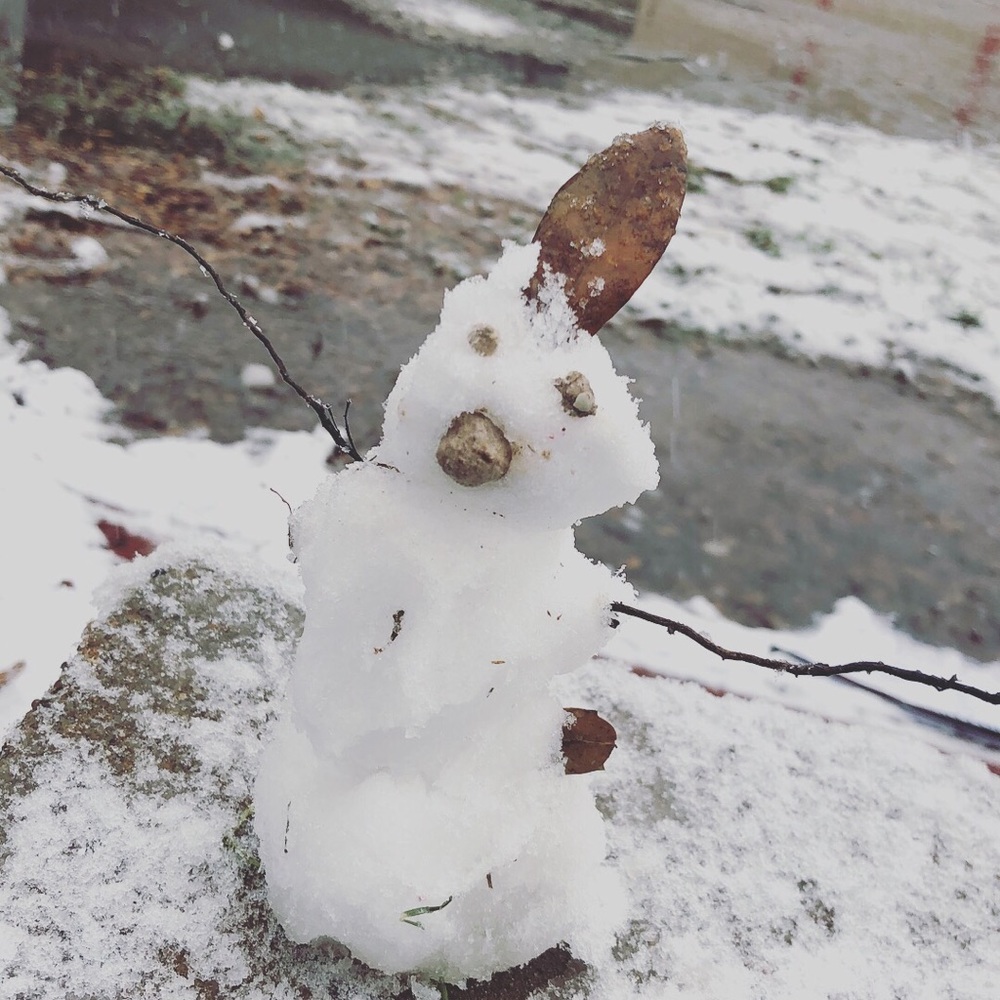 Meet your Posher, Maddy